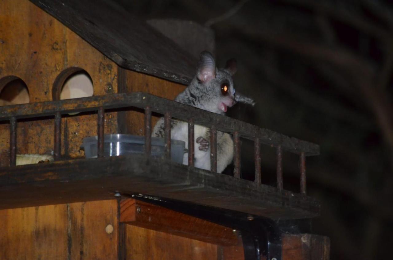 Kiburi Cottage @ Kruger Marloth Park Bagian luar foto